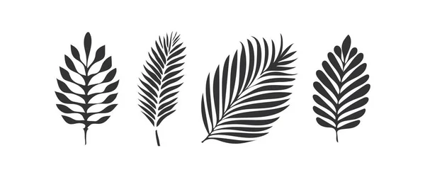 Плоские Пальмовые Листья Задают Силуэт Иконы Векторный Набор Иллюстраций — стоковый вектор