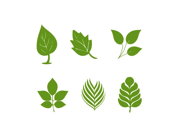 Leaf Icon Set Vector Illustration — Stock Vector