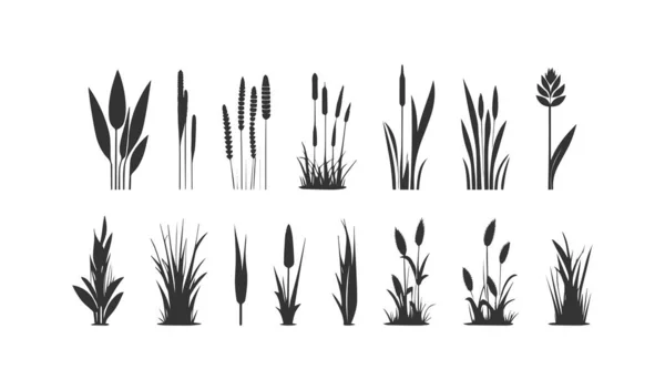 Ensemble Icônes Silhouette Reed Illustration Vectorielle — Image vectorielle