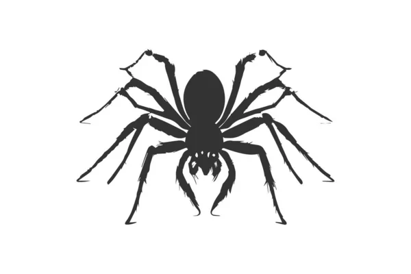 Örümcek Ikonu Vektör Illüstrasyon Tasarımı — Stok Vektör