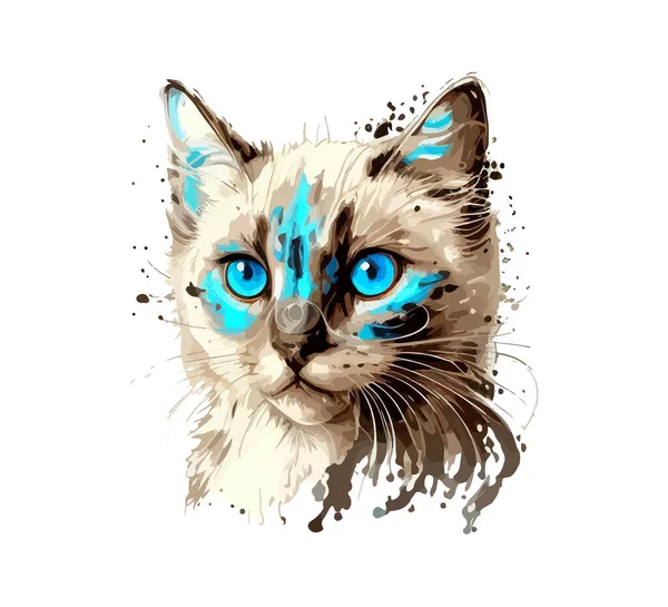 Kucing Bermata Biru Ilustrasi Vektor Desing - Stok Vektor