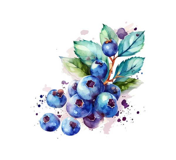 Watercolor Bilberry White Background Vector Illustration Desing — Stock Vector