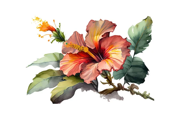 Objet Hibiscus Peinture Aquarelle Isolé Illustration Vectorielle Desing — Image vectorielle