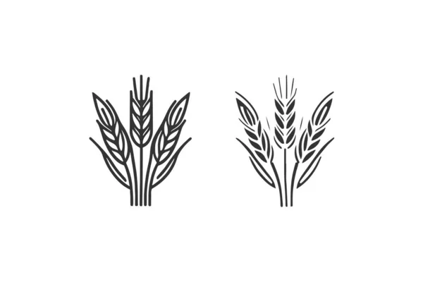 Getreideohren Symbol Vektor Illustrationsdesign — Stockvektor