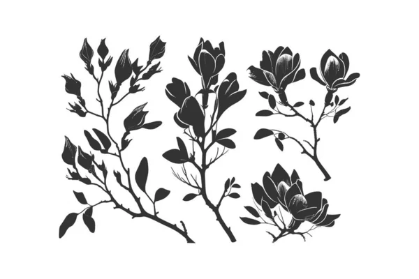 Цветы Магнолии Набор Ветвей Магнолии Векторное Отображение Иллюстраций — стоковый вектор