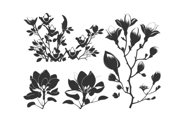 Magnolia Flowers Black Color Vector Illustration Desing — Stock Vector