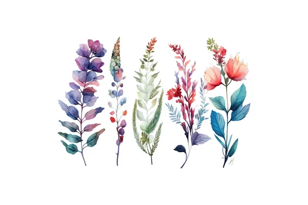 Colonne Vertébrale Belles Fleurs Aquarelle Illustration Vectorielle Desing — Image vectorielle