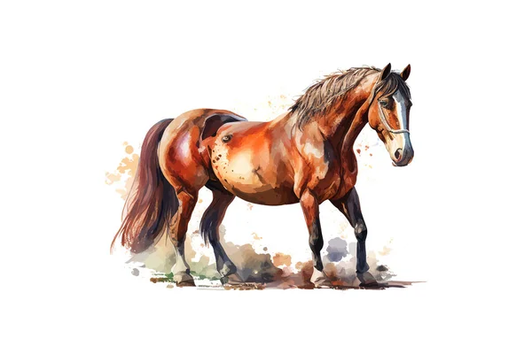 Watercolor Horse Vector Illustration Desing — Stock Vector