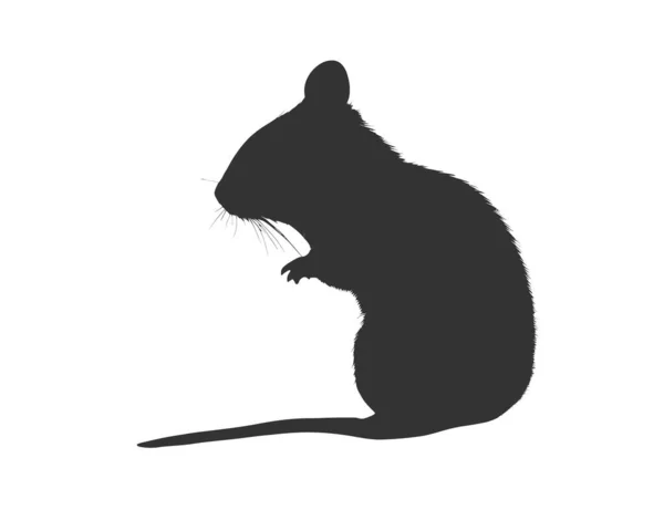 マウスのシルエットアイコン ベクターイラストデザイン — ストックベクタ