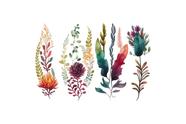 Spine Beautiful Flowers Watercolor Vector Illustration Desing — Stock Vector