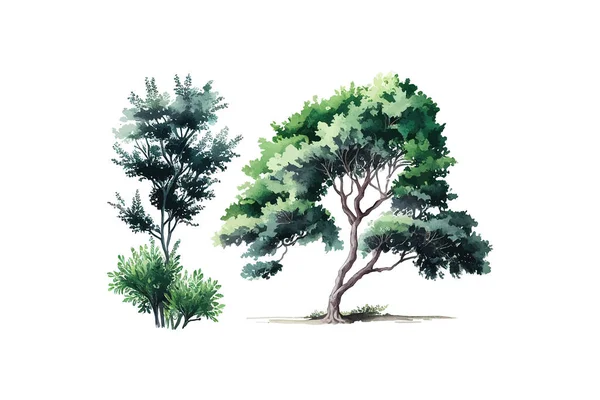 Akvarel Zeleného Stromu Pohled Stranou Izolované Popisování Vektorové Ilustrace — Stockový vektor
