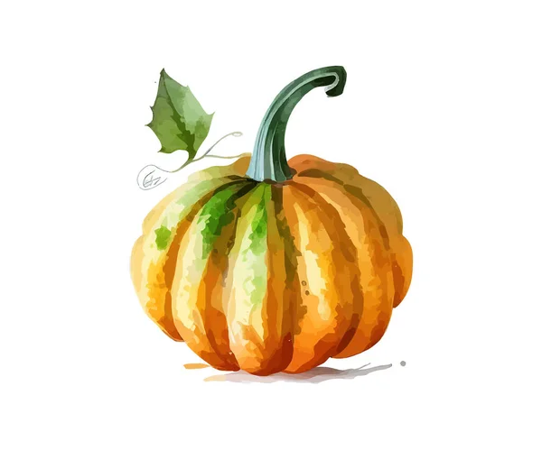 Pumpkin Watercolor Scottish Vector Illustration Desing — Stock Vector