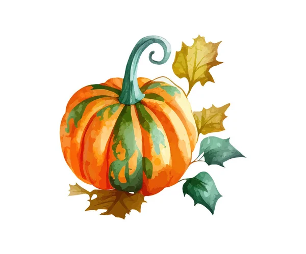 Pumpkin Watercolor Scottish Vector Illustration Desing — Stock Vector