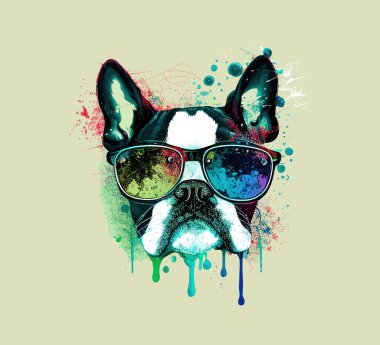 Gözlüklü Boston Terrier köpeği. Kir sanatı. Vektör illüstrasyonunu ayıklama.