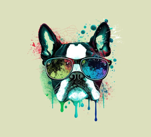 Boston Terrier Perro Las Gafas Arte Sucio Diseño Ilustración Vectorial — Archivo Imágenes Vectoriales