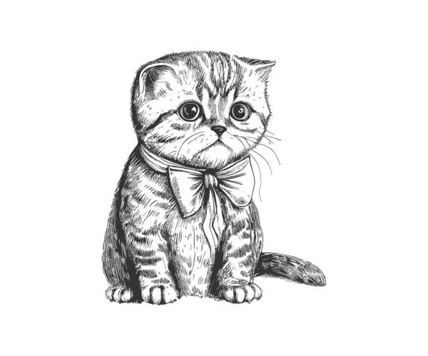 Retrato Gato Triste Engraçado Com Arco Escocês Desenho Ilustração Vetorial — Vetor de Stock