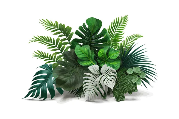 Tropiska Blad Växt Buske Monstera Palmblad Vektor Illustration Desing — Stock vektor