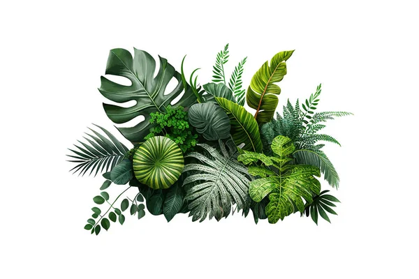 Tropical Foliage Plant Bush Monstera Palm Leaves Vector Illustration Desing — Stock Vector
