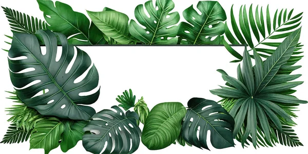 Folhas Verdes Plantas Tropicais Arbusto Monstera Palmeira Desenho Ilustração Vetorial — Vetor de Stock