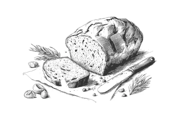 Gesunde Mahlzeiten Skizzieren Frisches Brot Vektorillustration — Stockvektor