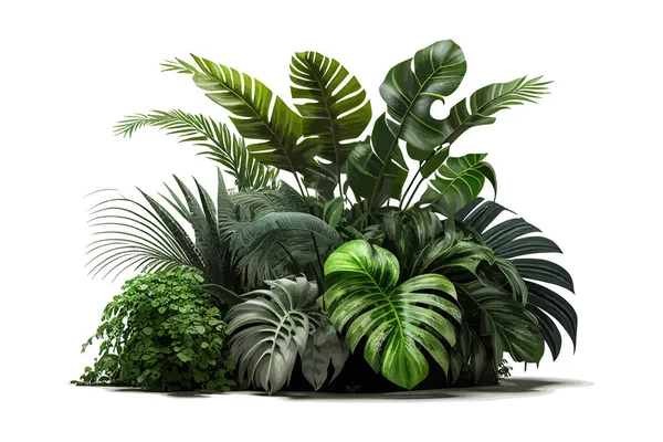 Planta Folhagem Tropical Arbusto Monstera Folhas Palmeira Desenho Ilustração Vetorial —  Vetores de Stock
