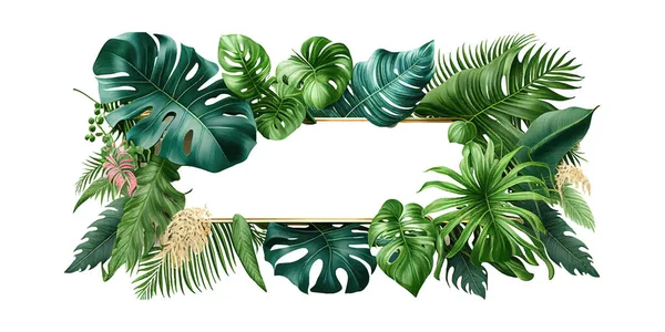 Зеленые Листья Тропических Растений Куст Monstera Пальмы Векторное Рисование — стоковый вектор