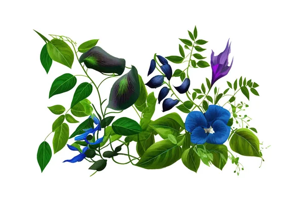Folhas Verdes Vinhas Com Flores Azuis Pombo Asiático Desenho Ilustração — Vetor de Stock