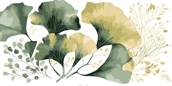 Watercolor Bakground Ginkgo Biloba Φυτό Απενεργοποίηση Εικονογράφησης Διανύσματος — Διανυσματικό Αρχείο