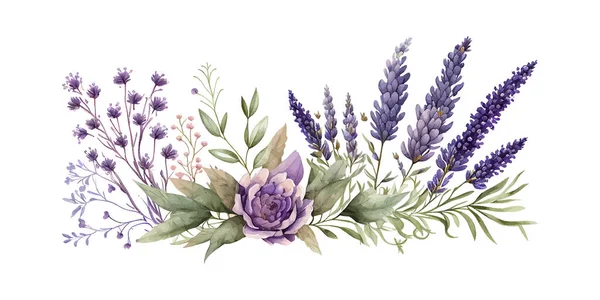 Akvarell Bakad Med Lavendel Blommor Och Blad Vektor Illustration Desing — Stock vektor
