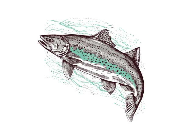 Ryby Pstrąga Ręcznych Pociągnięciach Ilustracja Wektora — Wektor stockowy