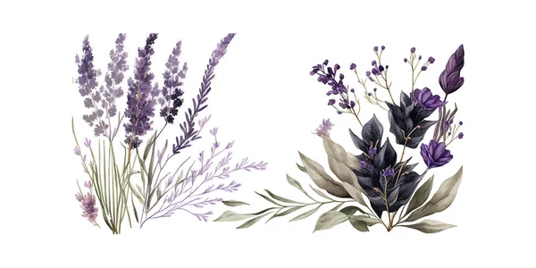Aquarel Bakgrond Met Lavendel Bloemen Bladeren Vector Illustratie Desing — Stockvector