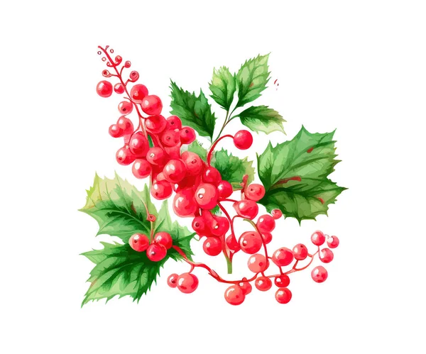 Hand Drawn Watercolor Painting Red Currants Vector Illustration Desing — Stock Vector