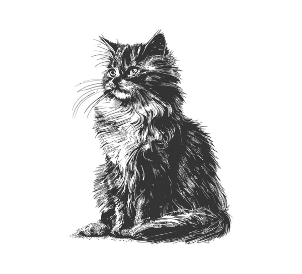 Gato Fofo Sentado Mão Desenhada Esboço Animais Estimação Desenho Ilustração — Vetor de Stock