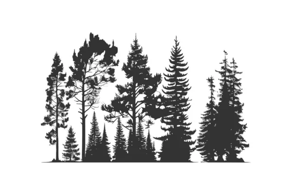 Set Silhouette Pine Trees Vector Illustration Desing — Stock Vector