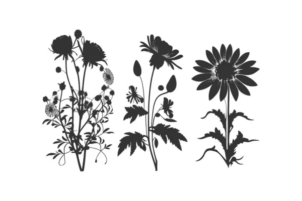 Tres Siluetas Negras Flores Diseño Ilustración Vectorial — Vector de stock