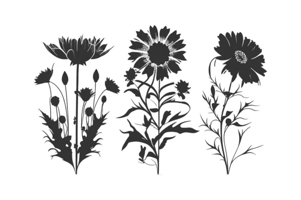 Three Black Silhouettes Flowers Vector Illustration Design — Stock Vector