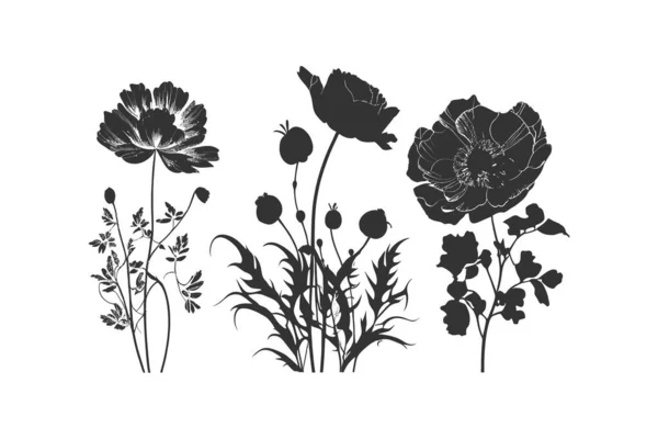 Drei Schwarze Silhouetten Von Blumen Vektor Illustrationsdesign — Stockvektor