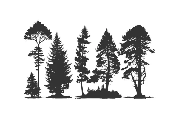 松の木のシルエットを設定します ベクターイラストデザイン — ストックベクタ