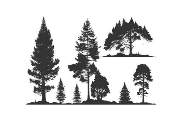 Ställ Silhuett Pinjeträd Vektor Illustration Desing — Stock vektor