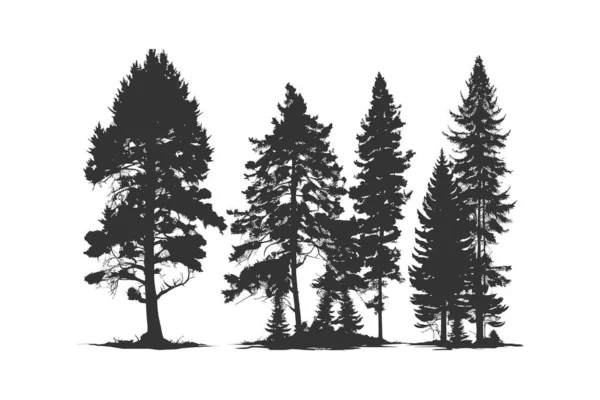 Set Silhouette Pine Trees Vector Illustration Desing — Stock Vector