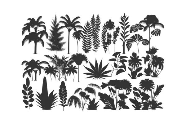 Set Siluet Hitam Pohon Palem Daun Tropis Desain Ilustrasi Vektor - Stok Vektor