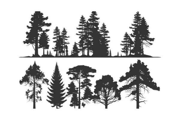 Встановіть Силует Соснових Дерев Векторні Ілюстрації Бажання — стоковий вектор