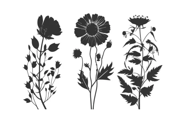 Three Black Silhouettes Flowers Vector Illustration Design — Stock Vector