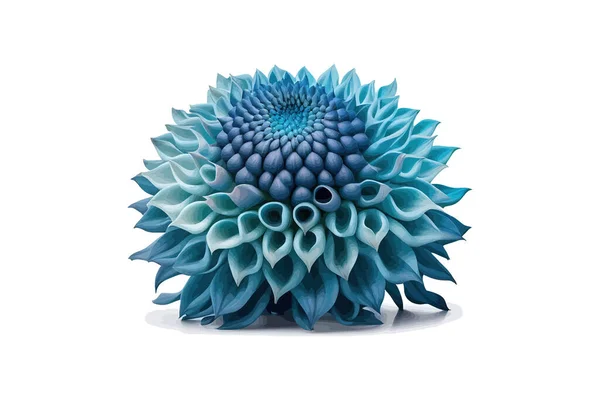 Mavi Dahlia Çiçeği Veremli Bahçe Bitkisi Vektör Illüstrasyon Tasarımı — Stok Vektör
