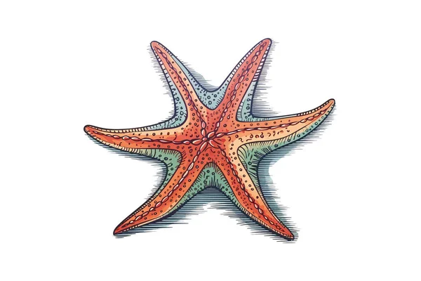 Renkli Denizyıldızı Eli Çizimi Vektör Illüstrasyon Tasarımı — Stok Vektör