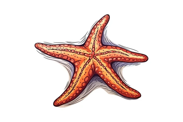 Esquisse Dessinée Main Avec Des Étoiles Mer Colorées Illustration Vectorielle — Image vectorielle