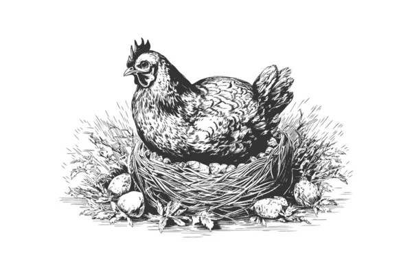 Hen Laying Eggs Nest Sketch Hand Drawn Vector Illustration Design — Stock Vector