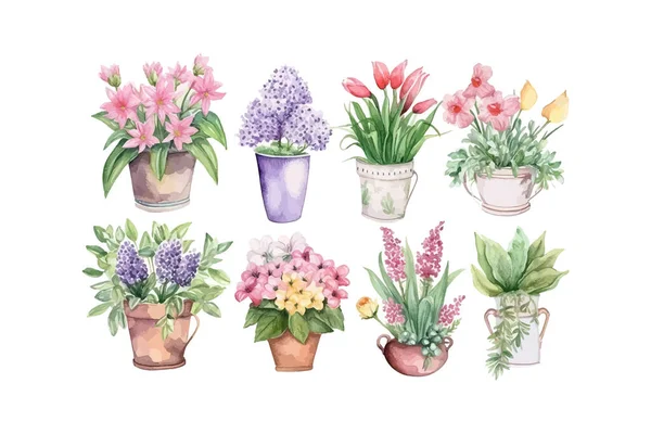 Conjunto Imagens Para Loja Flores Aquarela Desenho Ilustração Vetorial — Vetor de Stock