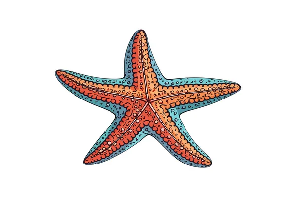 Esquisse Dessinée Main Avec Des Étoiles Mer Colorées Illustration Vectorielle — Image vectorielle