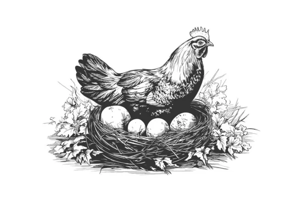 Хен Кладе Яйця Гніздо Намальовану Ескізну Руку Векторний Дизайн Ілюстрації — стоковий вектор